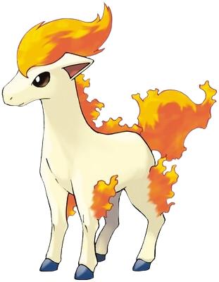 ponyta