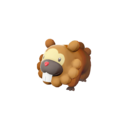 Bidoof