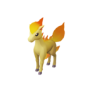Ponyta