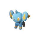 Shinx